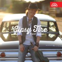 GIPSY FIRE (2014) 